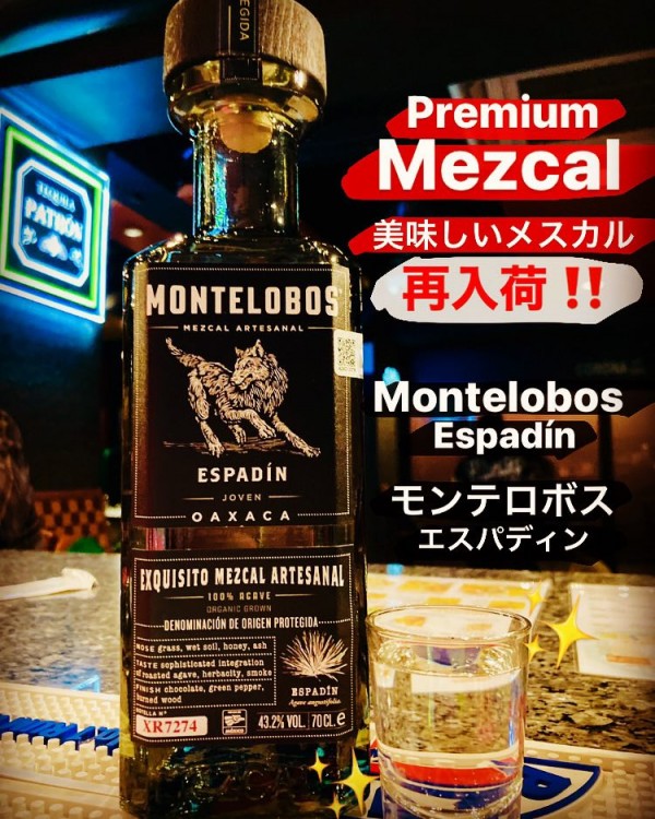 A Bar where you can drink Premium Mezcal in Kyoto / Mezcal Bar / Latin Bar El Coyote Kyotoサムネイル